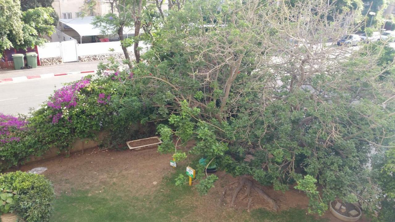Herzliya Center Apartments Eksteriør bilde